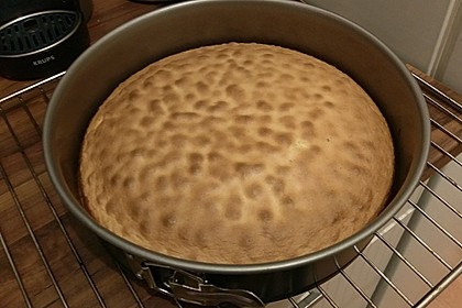 Biskuit - Grundrezept, mit Vanillepudding 24