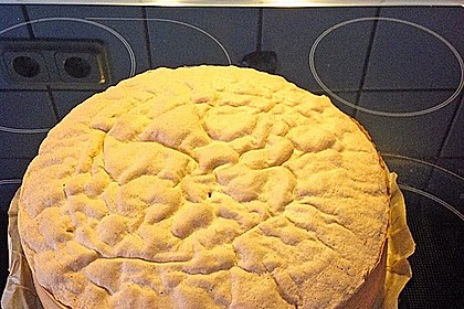 Biskuit - Grundrezept, mit Vanillepudding 17