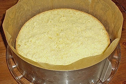Biskuit - Grundrezept, mit Vanillepudding 18
