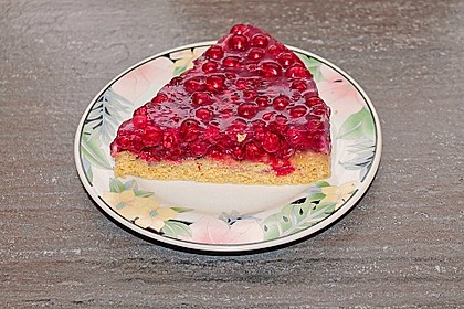 Biskuit - Grundrezept, mit Vanillepudding 30