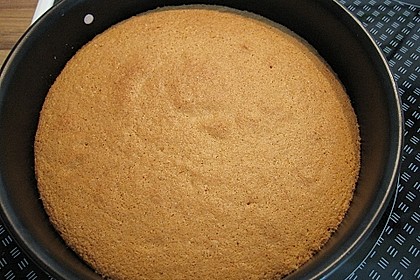 Biskuit - Grundrezept, mit Vanillepudding 22