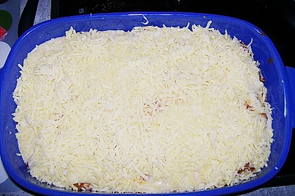 Lasagne 140