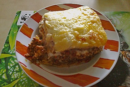Lasagne 143