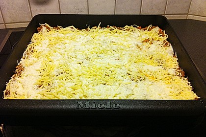 Lasagne 155