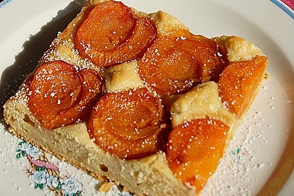 Marillenkuchen 1