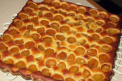 Marillenkuchen 2