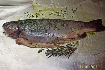Forelle in der Alufolie 35