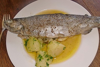 Forelle in der Alufolie 25
