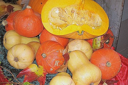 Rot - orangfarbenes Herbstgratin 3