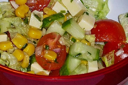 Bunter Sommersalat mit K&auml;se und Ei 12