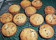 Stracciatella - Muffins