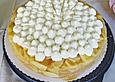 Apfel - Biskuit - Torte