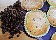 Holunderbeer Muffins