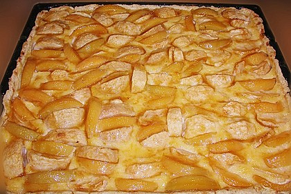 Obstkuchen mit Sahneguss 1