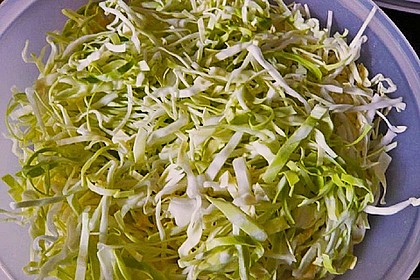 Spitzkohl 1