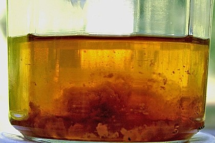 Essigmutter zur Essigherstellung 11