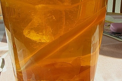 Essigmutter zur Essigherstellung 4
