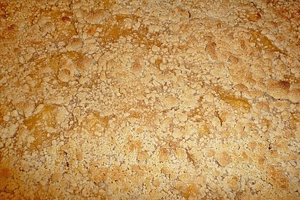 Apfelkuchen nach Omas Art mit Butterstreuseln 40