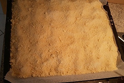 Apfelkuchen nach Omas Art mit Butterstreuseln 46