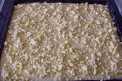 Apfelkuchen nach Omas Art mit Butterstreuseln 41