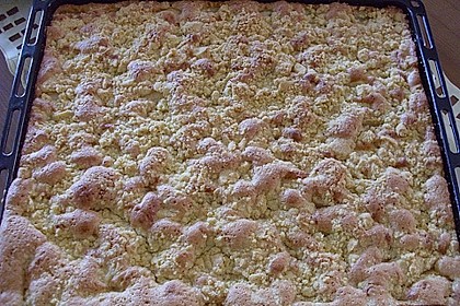Apfelkuchen nach Omas Art mit Butterstreuseln 38