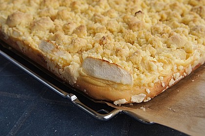 Apfelkuchen nach Omas Art mit Butterstreuseln 25
