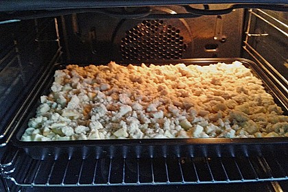 Apfelkuchen nach Omas Art mit Butterstreuseln 45
