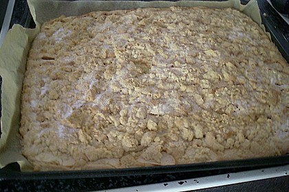 Apfelkuchen nach Omas Art mit Butterstreuseln 42