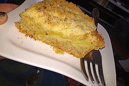 Apfelkuchen nach Omas Art mit Butterstreuseln 15