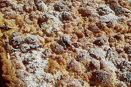 Apfelkuchen nach Omas Art mit Butterstreuseln 10