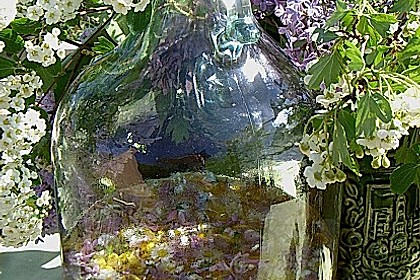Wildbl&uuml;ten - Bowle