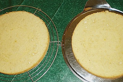 Biskuit 1