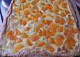 Vanille - Schmand - Kuchen mit Mandarinen und Aprikosen