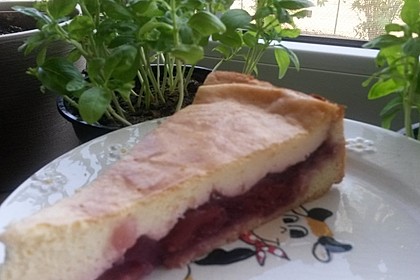 Kirsch - Schmand - Kuchen 23