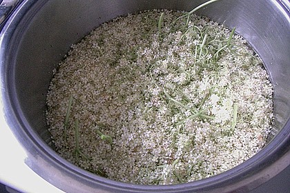 Holunderbl&uuml;ten - Gelee mit Chardonnay