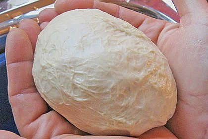 Seitan 13