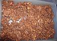Choco - Crossis