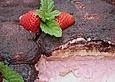 Erdbeer - Tiramisu