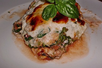Sommerfrische Lasagne 1