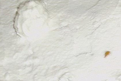Apfelsahne - Kuchen 1