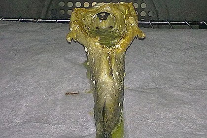 Backofen Forelle 96