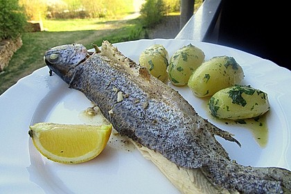 Backofen Forelle 9