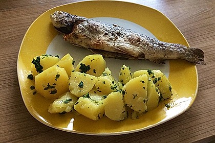 Backofen Forelle 19