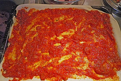 Lisas Pizzasauce 11