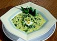 Mangold - Joghurtsuppe