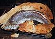 Lachs