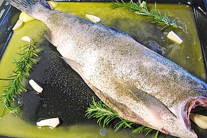 Lachs 5
