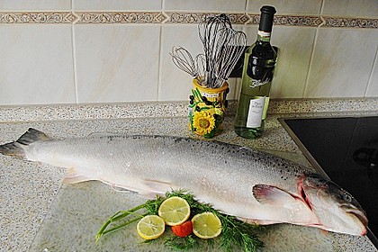 Lachs 3