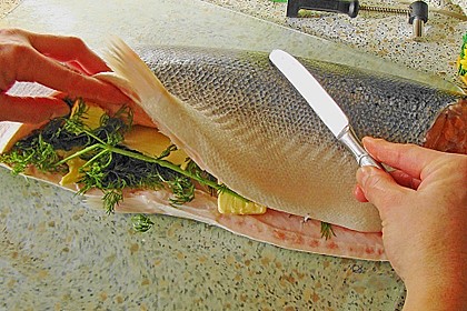 Lachs