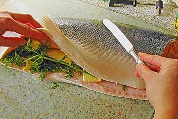 Lachs